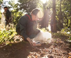 hilltop camp lembang