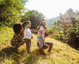 tempat camping di lembang