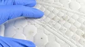 Hal Mengejutkan yang Mungkin Sedang Bersembunyi di Tempat Tidur Anda