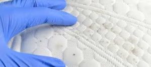 Hal Mengejutkan yang Mungkin Sedang Bersembunyi di Tempat Tidur Anda