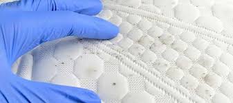 Hal Mengejutkan yang Mungkin Sedang Bersembunyi di Tempat Tidur Anda