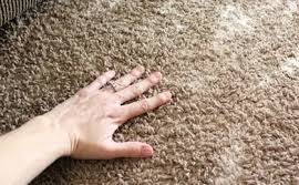 Tips Menghilangkan Bau Apek Karpet Setelah Dicuci dengan Baking Soda -  Lifestyle Fimela.com