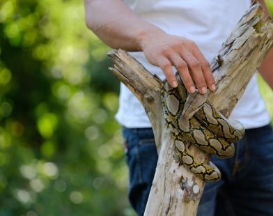 hilltop camp lembang