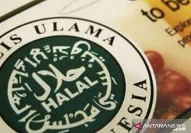 Panduan Lengkap Halal Certification Law Indonesia untuk UMKM dan Bisnis F&B