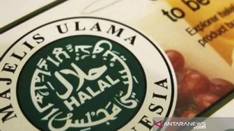 Panduan Lengkap Halal Certification Law Indonesia untuk UMKM dan Bisnis F&B