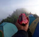 hilltop camp lembang