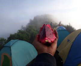 hilltop camp lembang