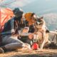 hilltop camp lembang Pet Friendly Camping di Lembang 80x80